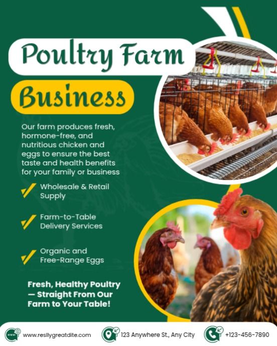 Web design sample: poultry farm business landing page flyer designed by Webmat
